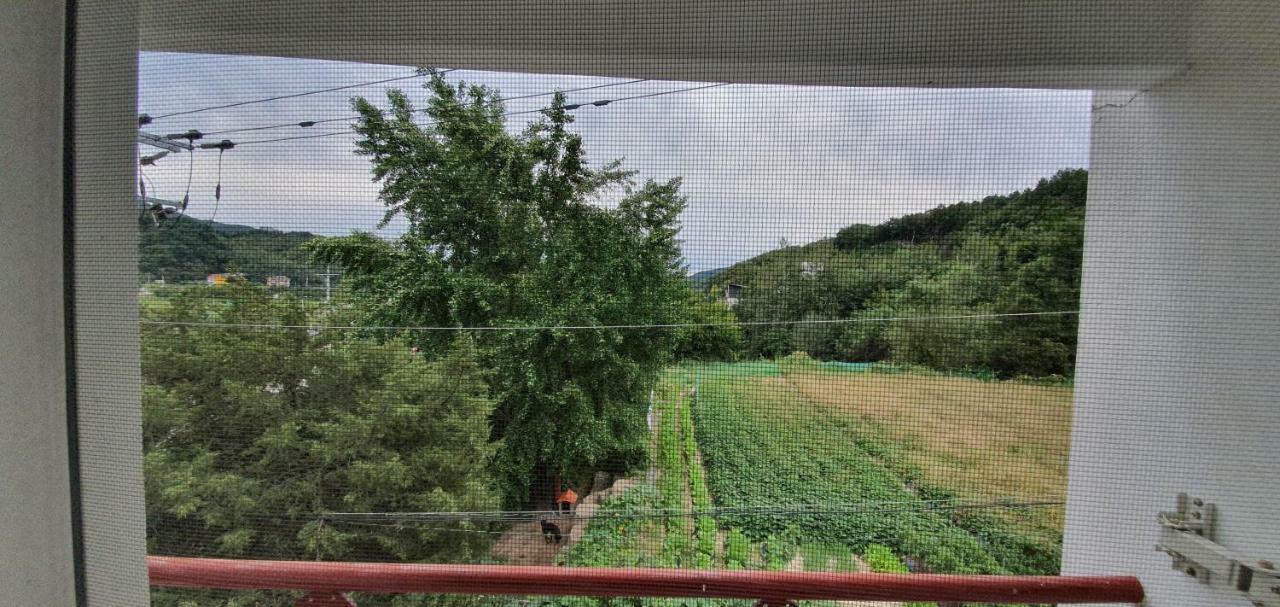 Gangchon Beautiful Pension Chuncheon Dış mekan fotoğraf